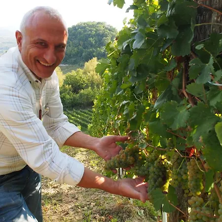 Feudo Di Castelmozzo *