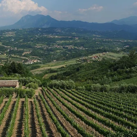 Feudo Di Castelmozzo Santa Paolina