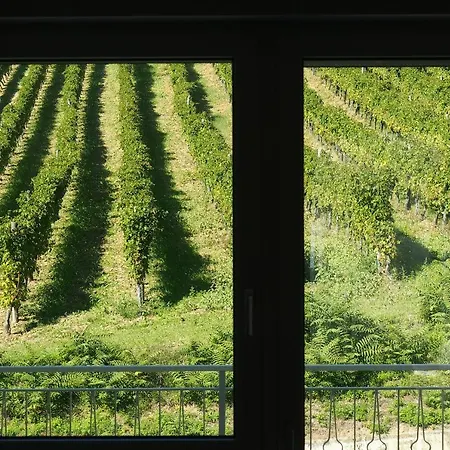 ファームステイ Feudo Di Castelmozzo Santa Paolina