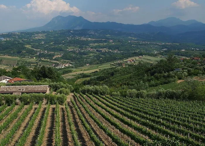 Feudo Di Castelmozzo Santa Paolina