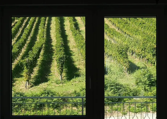 Фермерский дом Feudo Di Castelmozzo Santa Paolina